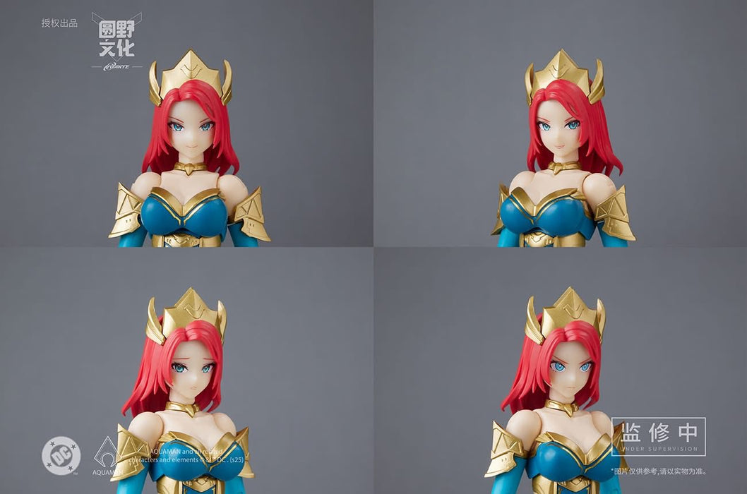 1/10 DC-04 Aquaman - Mera