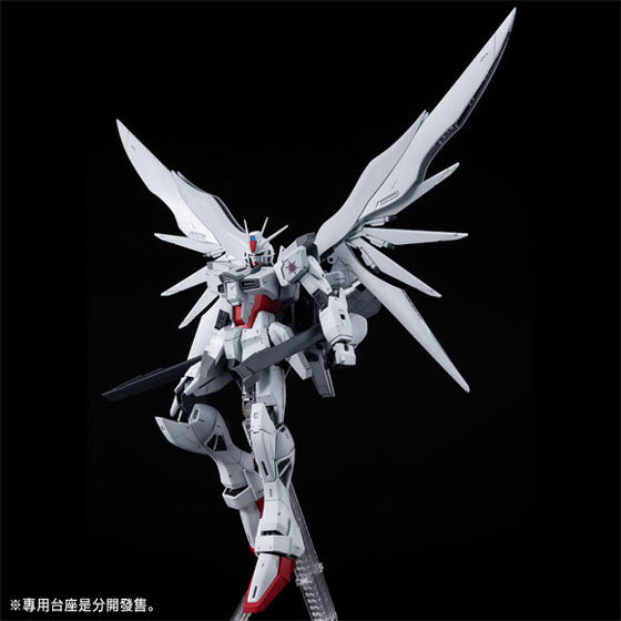 1/100 MG IMPULSE GUNDAM BLANCHE