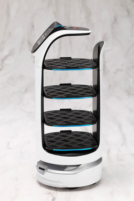 GRANDE SCALE BellaBot