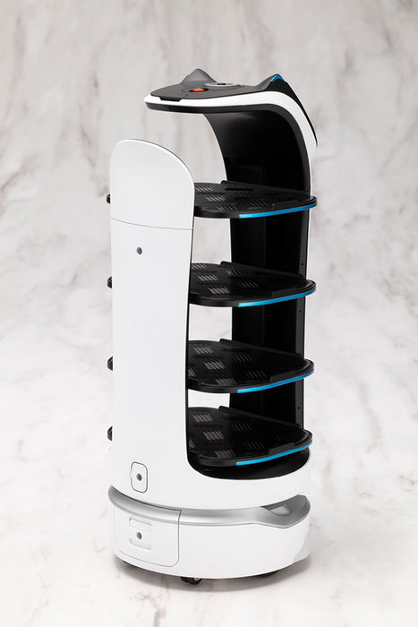 GRANDE SCALE BellaBot