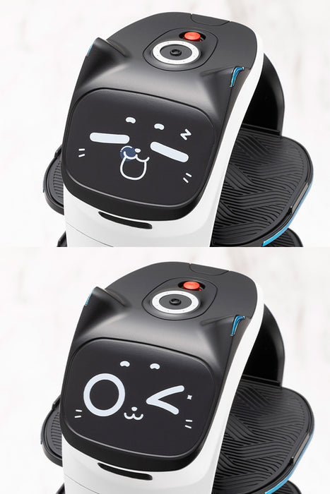 GRANDE SCALE BellaBot