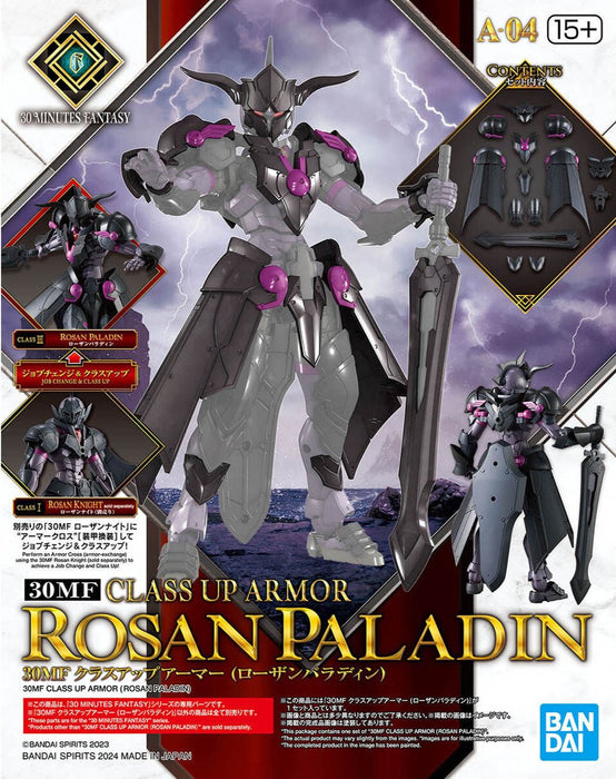 30MF CLASS UP ARMOR (ROSAN PALADIN)