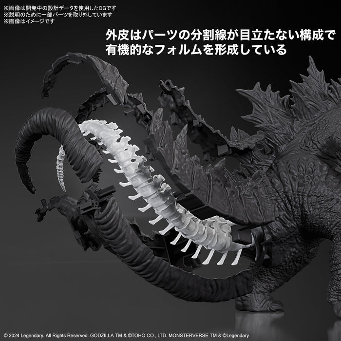 Godzilla (2024) from Godzilla x Kong: The New Empire