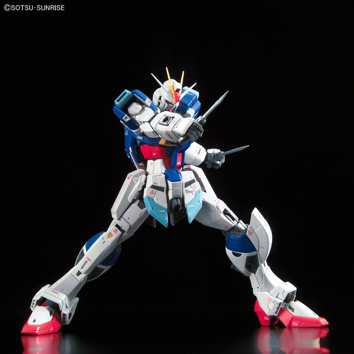 RG Force Impulse Gundam - Gundam Seed