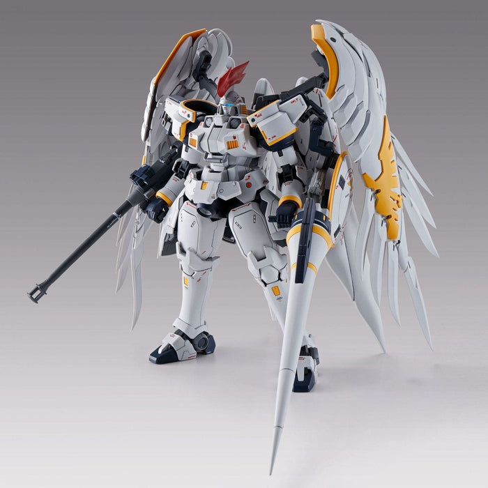 1/100 MG TALLGEESE FLUEGEL EW