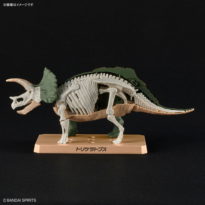 Plannosaurus Triceratops Dinosaur