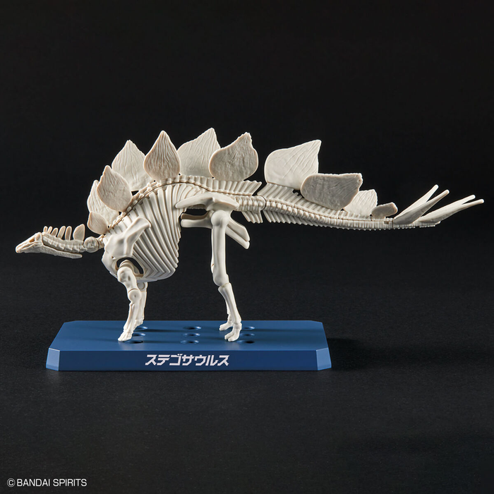 Plannosaurus Stegosaurus Dinosaur